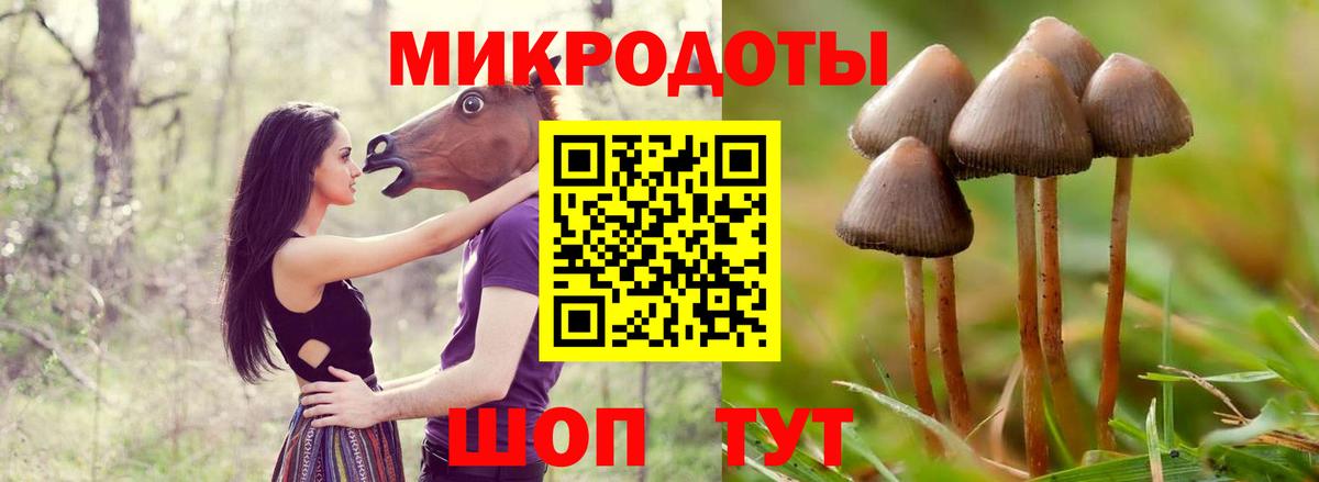Галлюциногенные грибы Psilocybe  Вход с VPN  Псилоцибиновые грибы мухоморы  Тутаев 